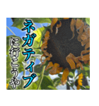 ネガティブなひまわり（個別スタンプ：27）