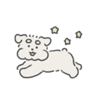 しろいシュナウザー（個別スタンプ：12）