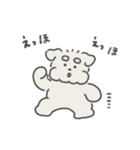 しろいシュナウザー（個別スタンプ：13）