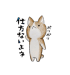 むぎときなこ 11（個別スタンプ：9）