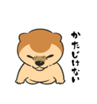 くま？の毎日あいさつ（個別スタンプ：16）