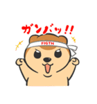 くま？の毎日あいさつ（個別スタンプ：17）
