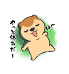 くま？の毎日あいさつ（個別スタンプ：19）