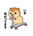 くま？の毎日あいさつ（個別スタンプ：30）