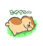 くま？の毎日あいさつ（個別スタンプ：40）