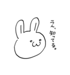 ねこ、とか＿2（個別スタンプ：14）
