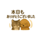 かわいい猫とコッカスパニエルの日常  1（個別スタンプ：26）
