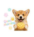かわいいコーギーの犬スタンプ2（個別スタンプ：1）