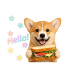 かわいいコーギーの犬スタンプ2（個別スタンプ：2）