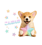 かわいいコーギーの犬スタンプ2（個別スタンプ：3）