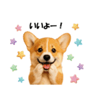 かわいいコーギーの犬スタンプ2（個別スタンプ：7）
