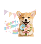 かわいいコーギーの犬スタンプ2（個別スタンプ：13）