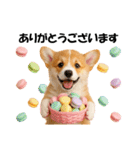 かわいいコーギーの犬スタンプ2（個別スタンプ：14）