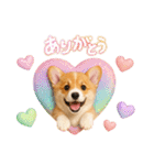 かわいいコーギーの犬スタンプ2（個別スタンプ：15）