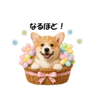 かわいいコーギーの犬スタンプ2（個別スタンプ：18）