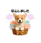 かわいいコーギーの犬スタンプ2（個別スタンプ：23）