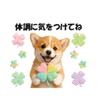 かわいいコーギーの犬スタンプ2（個別スタンプ：28）