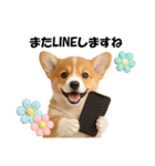 かわいいコーギーの犬スタンプ2（個別スタンプ：29）