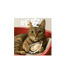 小花達の日常会話スタンプ3(台湾華語)（個別スタンプ：3）