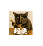 小花達の日常会話スタンプ3(台湾華語)（個別スタンプ：6）