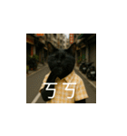 小花達の日常会話スタンプ3(台湾華語)（個別スタンプ：11）