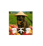 小花達の日常会話スタンプ3(台湾華語)（個別スタンプ：18）