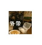 小花達の日常会話スタンプ3(台湾華語)（個別スタンプ：19）