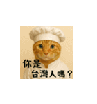 小花達の日常会話スタンプ3(台湾華語)（個別スタンプ：32）