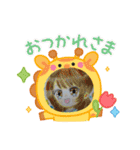 カラフルスタンプ25！（個別スタンプ：15）