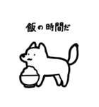 いつでも使えるハスキー（白 青眼）（個別スタンプ：22）
