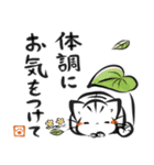 墨筆ねこ【敬語】（個別スタンプ：29）