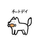 いつでも使えるハスキー（白 黒目）（個別スタンプ：23）
