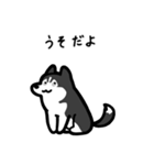 いつでも使えるハスキー（黒白 黒目）（個別スタンプ：13）