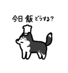 いつでも使えるハスキー（黒白 黒目）（個別スタンプ：21）