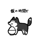 いつでも使えるハスキー（黒白 黒目）（個別スタンプ：22）