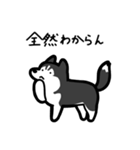 いつでも使えるハスキー（黒白 黒目）（個別スタンプ：24）