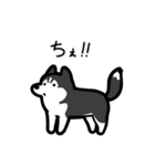 いつでも使えるハスキー（黒白 黒目）（個別スタンプ：35）