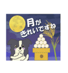 ボーダーコリー Late Summer（個別スタンプ：1）