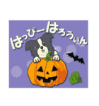 ボーダーコリー Late Summer（個別スタンプ：2）