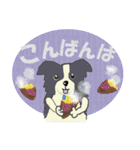 ボーダーコリー Late Summer（個別スタンプ：8）