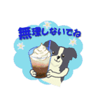 ボーダーコリー Late Summer（個別スタンプ：9）