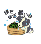 ボーダーコリー Late Summer（個別スタンプ：15）