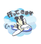ボーダーコリー Late Summer（個別スタンプ：23）