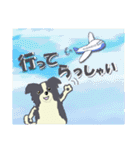 ボーダーコリー Late Summer（個別スタンプ：25）