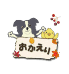 ボーダーコリー Late Summer（個別スタンプ：28）