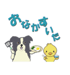ボーダーコリー Late Summer（個別スタンプ：29）