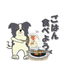 ボーダーコリー Late Summer（個別スタンプ：30）