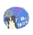 ボーダーコリー Late Summer（個別スタンプ：37）