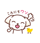 マルチーズ_たのしい日常（個別スタンプ：2）