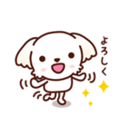 マルチーズ_たのしい日常（個別スタンプ：3）